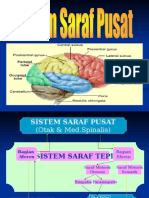 SistemSarafPusat_faal.ppt