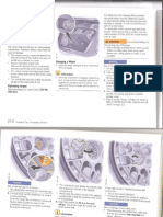 Center Lock PDF