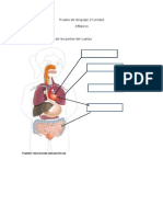 Prueba de lenguaje 1º unidad.docx