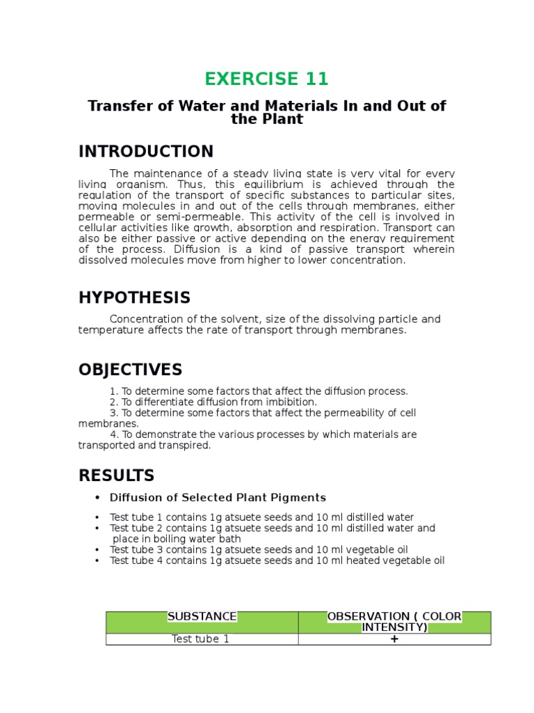 Lab Report PDF Cellular Respiration Photosynthesis