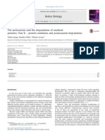 The Proteasome and the Degradation of Oxidized Proteins--PartII - 2014