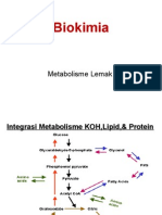 Metabolisme Lipid1