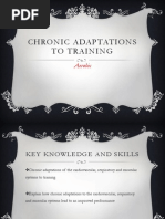 chronic adaptations to training (aerobic)