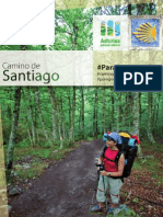 Camino Santiago ES 15