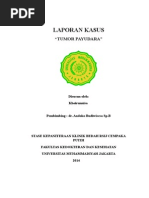 Download Laporan Kasus Tumor Mammae by Yasdika Imam SN273677401 doc pdf