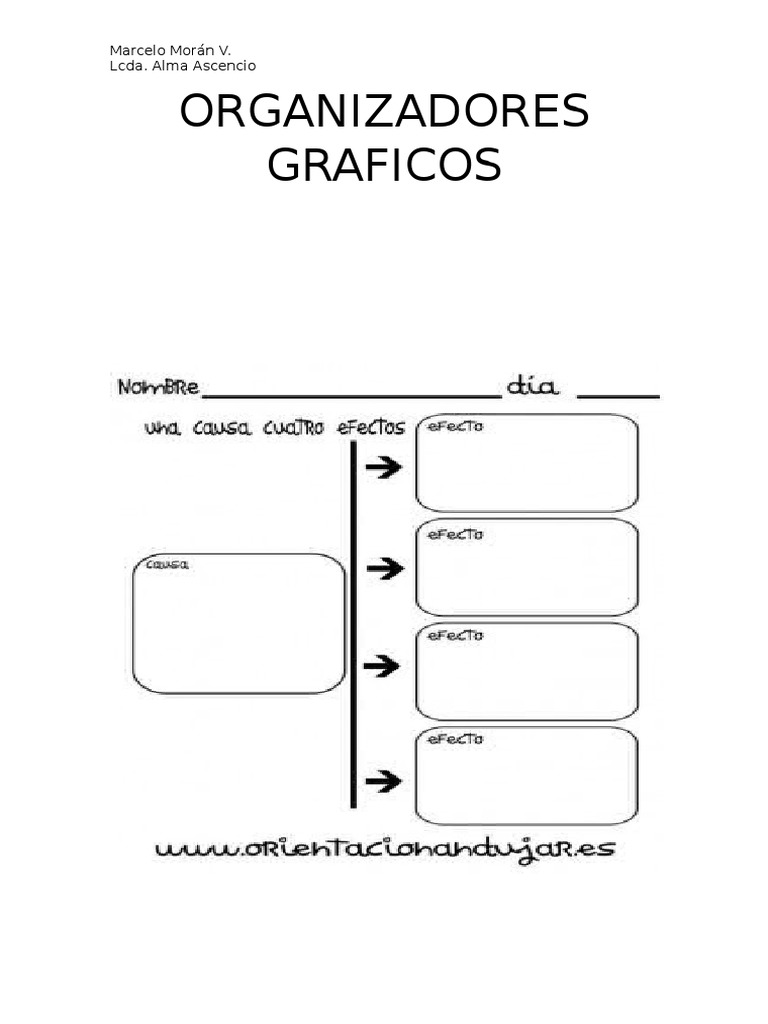 ORGANIZADORES GRAFICOS