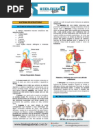 MATERIAL_20130804142159TeoriaSistemaRespiratorio.pdf