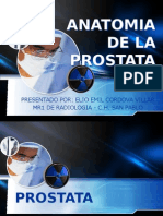 Anatomia y Vascularización de La Próstata