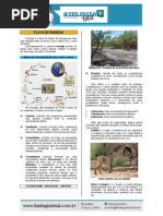 MATERIAL 20130822105555TeoriaFluxoEnergia