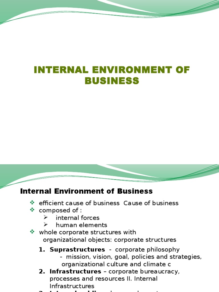 Understanding Business Internal Environment | PDF | Strategic ...