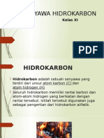 Hidrocarbon