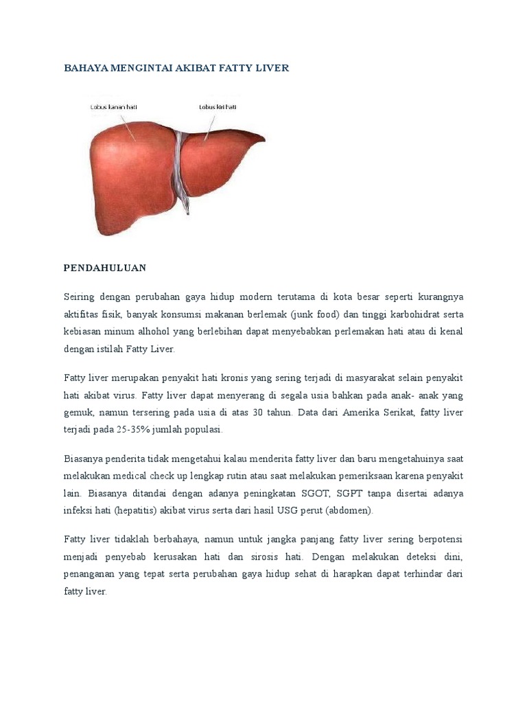 penyakit liver terjadi karena