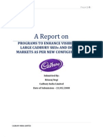 Final Report - Cadbury