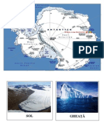Poze Antarctica PDF