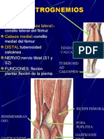 Musc - Region Posterior de La Pierna y Region Plantar