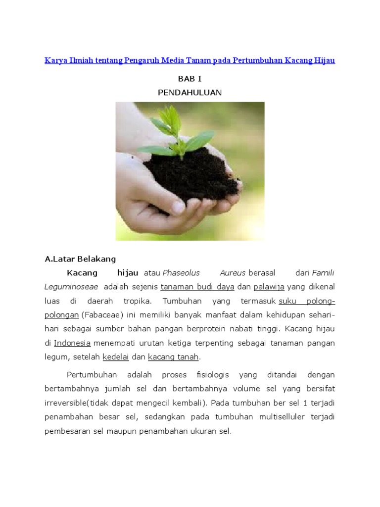 Karya Ilmiah Tentang Pengaruh Media Tanam Pada Pertumbuhan Kacang Hijau