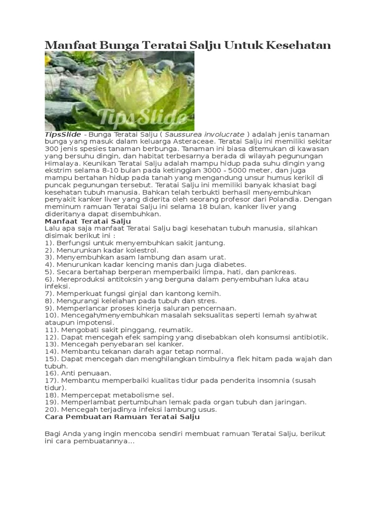 Manfaat Bunga Teratai Salju Untuk Kesehatan Pdf