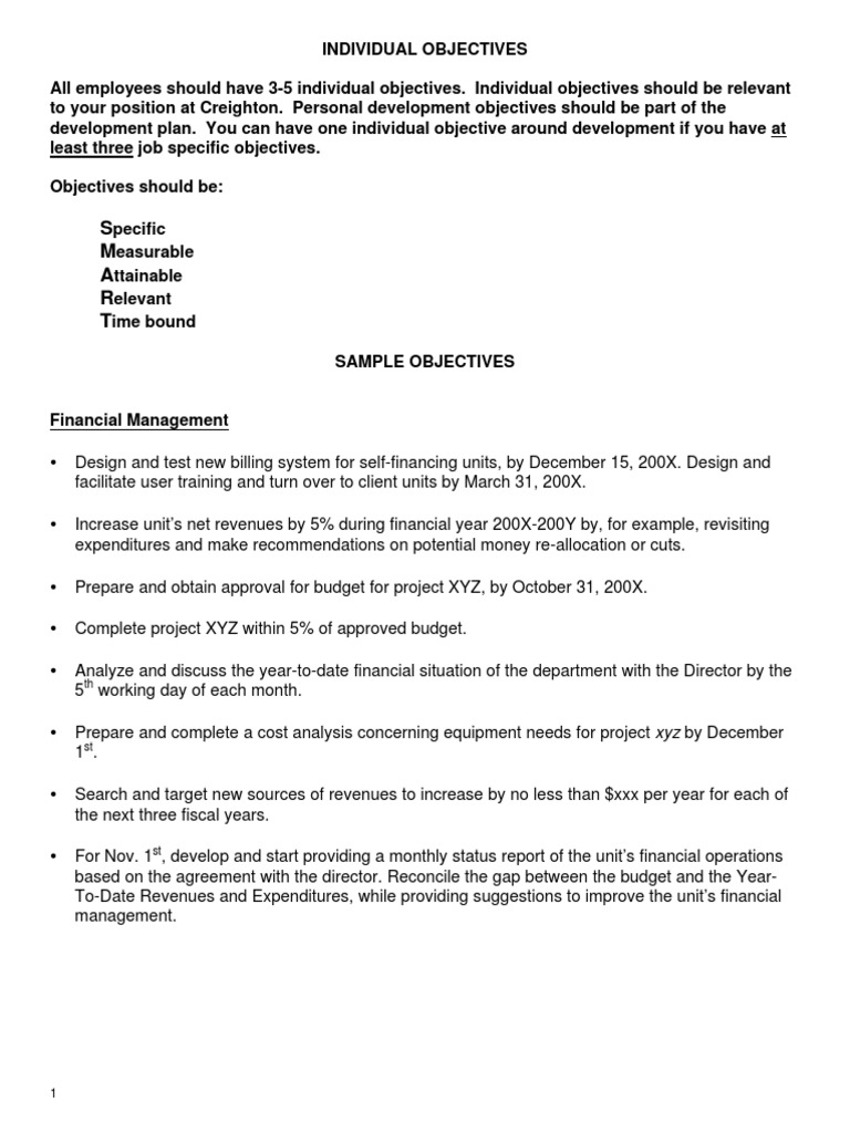 Individual Objectives and Samples Guide | PDF