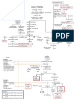 Pathway DHF Aji