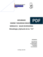 Informe 5S PDF
