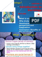 Introduction To Sociology: Outline