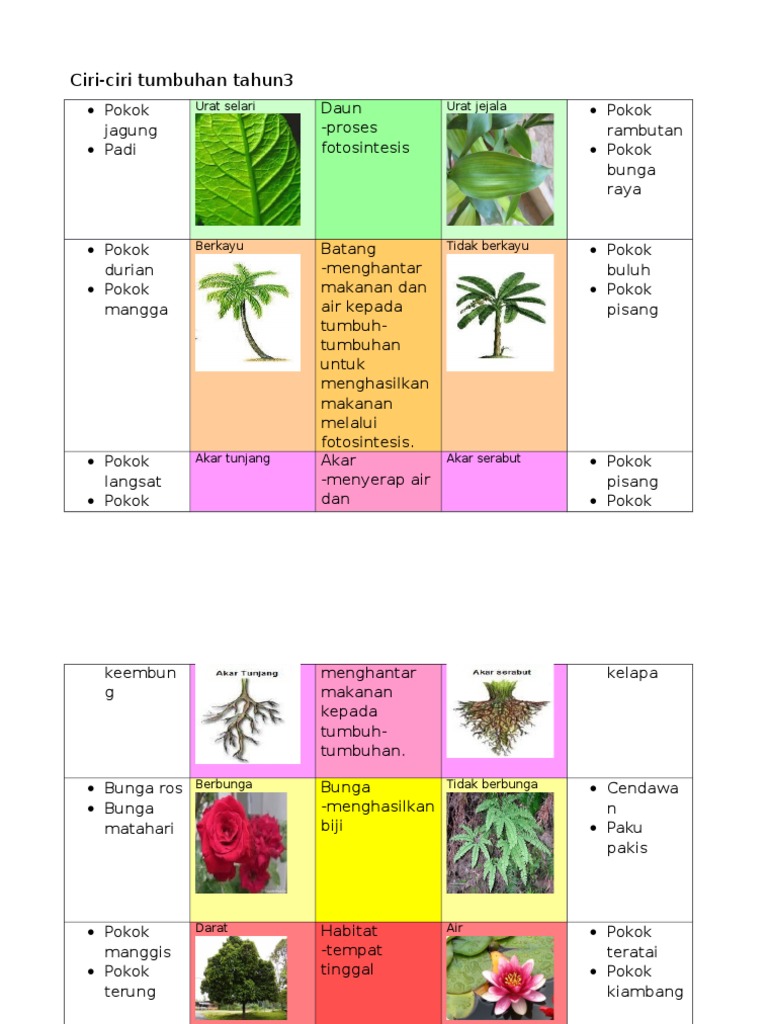 Ciri Daun Pokok Kiambang