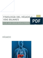 Fisiología Del Hígado y Vías Biliares