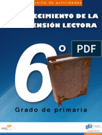 6Âº Comprension Lectora