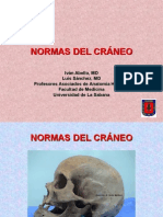 Normas Del Craneo