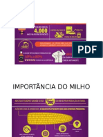 A Importância Do Milho