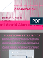 ORGANIZACIÓN