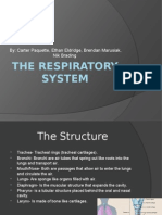 The Respiratory System: By: Carter Paquette, Ethan Eldridge, Brendan Marusiak, Nik Brading