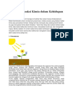 10 Contoh Reaksi Kimia Dalam Kehidupan Sehari