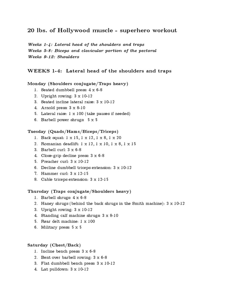 20 Lb of Hollywood Muscle Superhero Workout Weight
