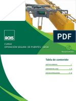 Manual Facilitador Operacion Segura Puente Grua