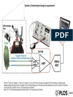 Figure 3. System of Electrophysiological Experiment