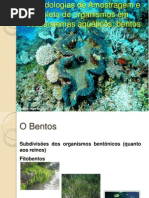 Aula 03 BIO 723_Bentos.pdf