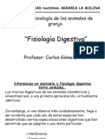 fisiologia_digestiva (1)