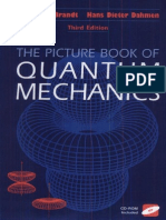 The Picture Book of Quantum MechanicsC