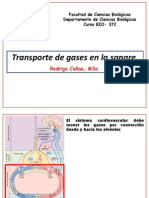 Transporte de Gases en La Sangre