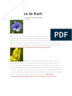 Flores de Bach y Enfermedades Que Curan