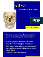 Skull Bones and Sutures