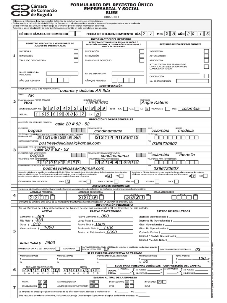 Formulario Del Registro Único Empresarial y Social