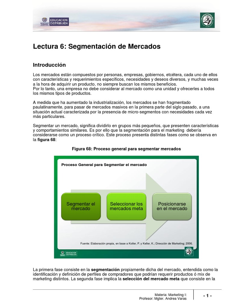 Tipos y Ejemplos de Segmentación de Mercados | PDF | Marketing ...