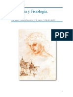 Sentidos PDF