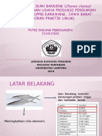 Presentasi