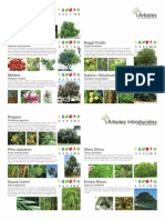 Catalogo de Plantas