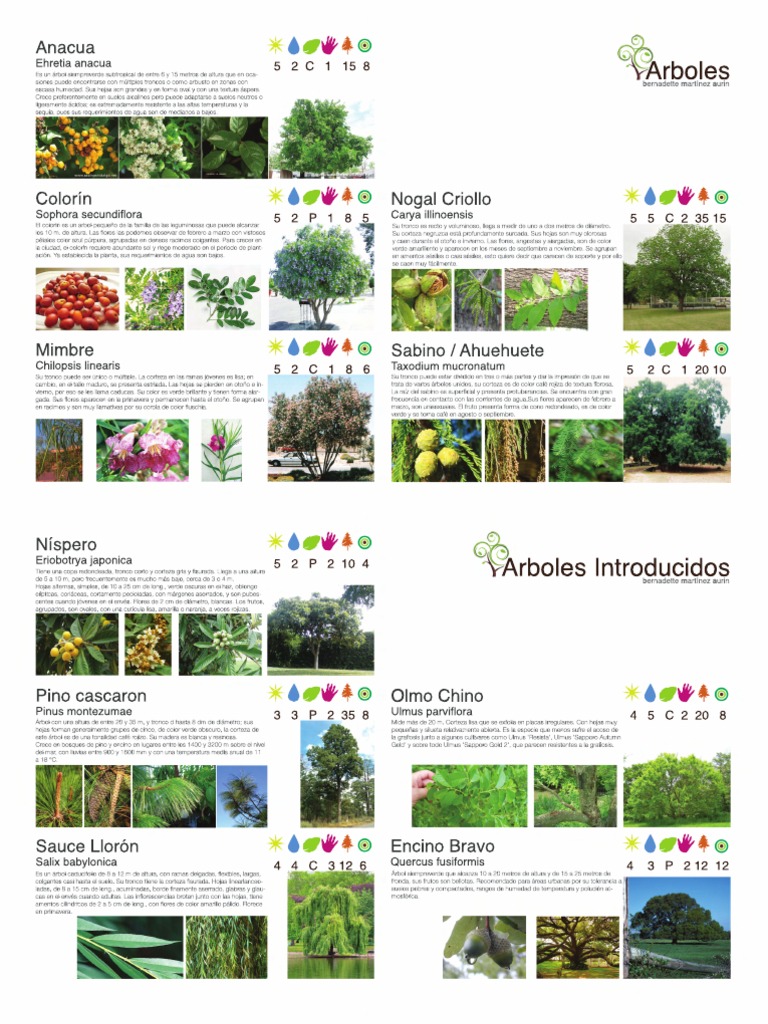 Catalogo de Plantas
