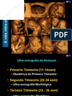 08-Ultrassonografia em Obstetricia