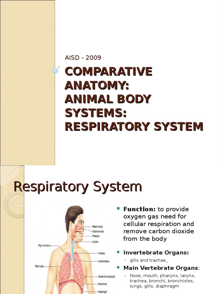 Comparative Anatomy - Respiratory System | PDF | Gill | Respiratory System